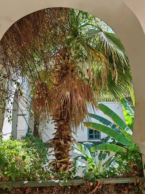 Riad Maison Bounouar Marrakesh