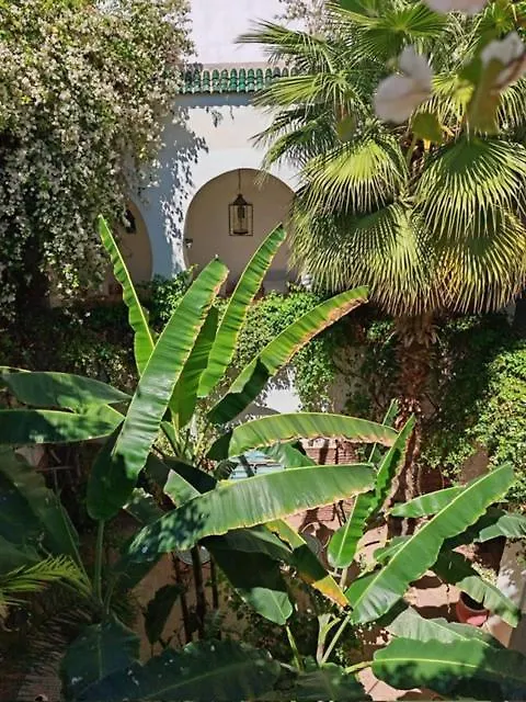 Guest house Riad Maison Bounouar Marrakesh